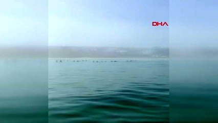 Spor türk kadın yüzücüden güney afrika'da büyük başarı