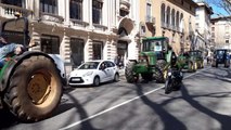 Multitudinaria tractorada en Palma de Mallorca
