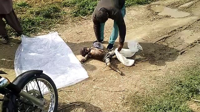 5 वर्षीय अज्ञात बालक का शव शारदा सहायक नहर में मिला