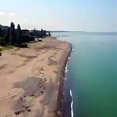 Une mouette évite un drone d'une manière incroyable