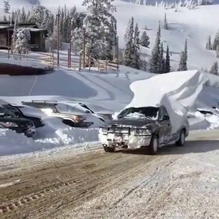 Ce conducteur emmène un petit souvenir de ses vacances au ski