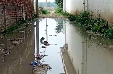 बकेवर: 2 दिन की बारिश में सड़कें हुई तालाब में तब्दील