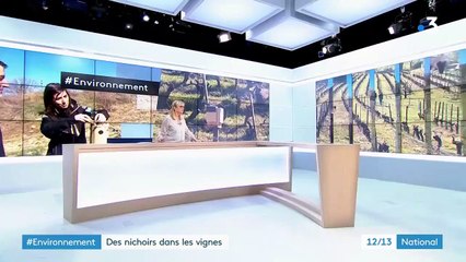 Environnement : des nichoirs dans les vignes