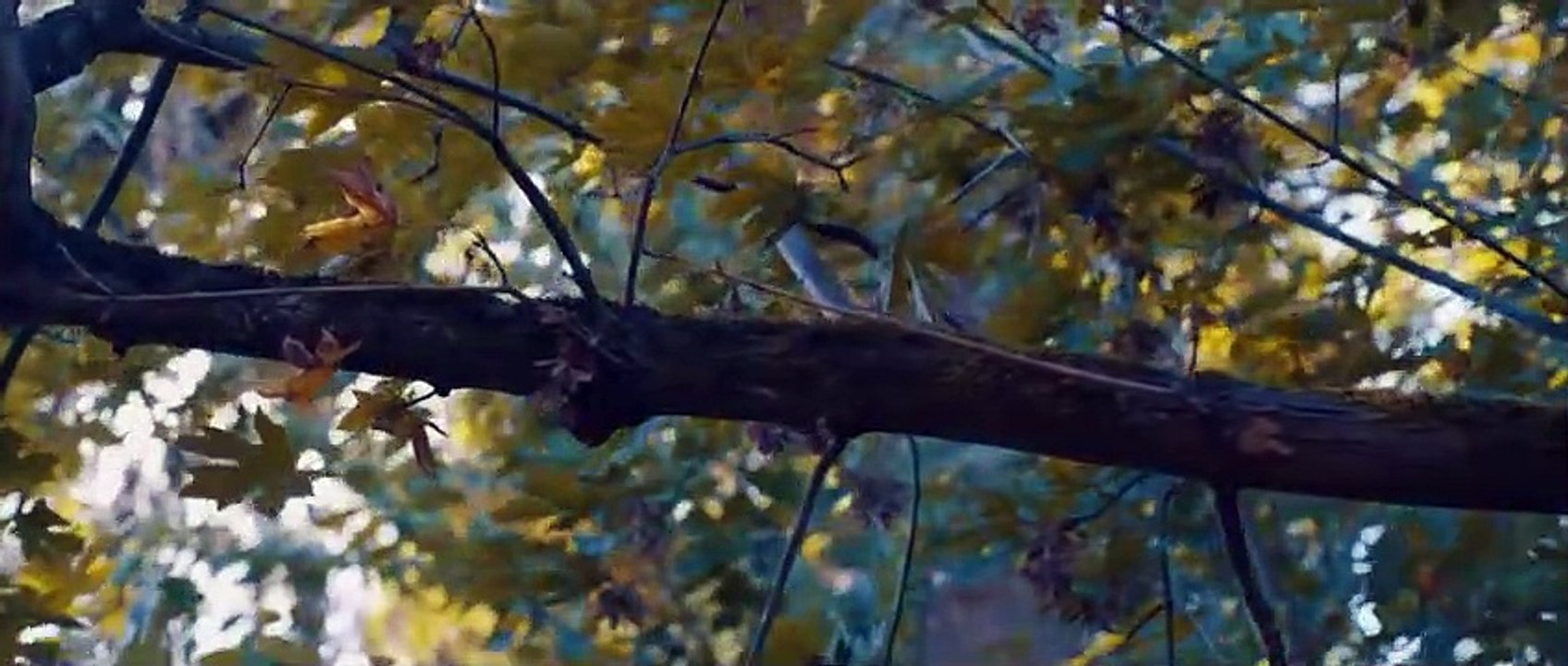 اخر البقرة واول ال عمران