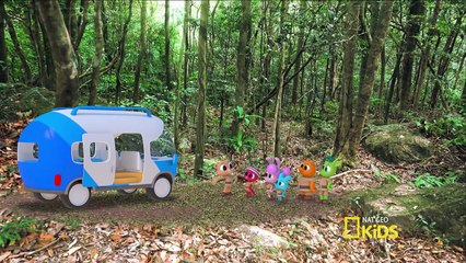 Los Polos - Selfies en la Selva Español Latino