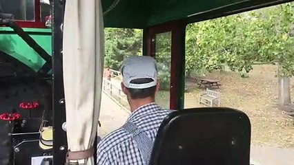 Fort Edmonton Train - Including Cab Ride!