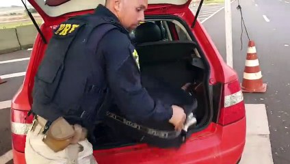 PRF prende casal com drogas escondidas na bagagem da filha de apenas 5 anos