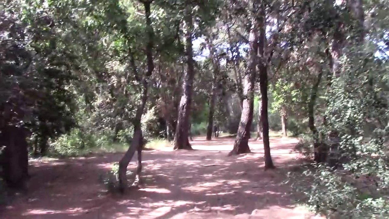 (Bonus 13) ~ Les manipulations du 'Diable' (4-4)