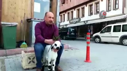 5 günlükken annesini kaybeden kuzu, ilçenin sevimli maskotu oldu