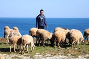 Çobanlık yapan genç, eğitim almadan başladığı dalga sörfünde Türkiye üçüncüsü oldu