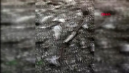 İZMİR Kazıda insan kemikleri çıktı, bölgenin tarihi mezarlık olduğu belirlendi