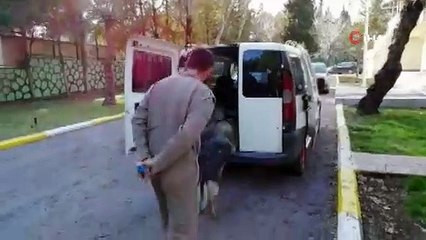 Uşak'ta polisin durdurduğu araçtan kaçak sigara çıktı