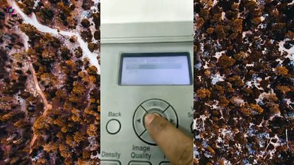 COPIER how to see ip address and getway /subnet mask