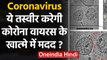Coronavirus: कोरोना वायरस की असली तस्वीर से होगा कोरोना का अंत? | वनइंडिया हिंदी