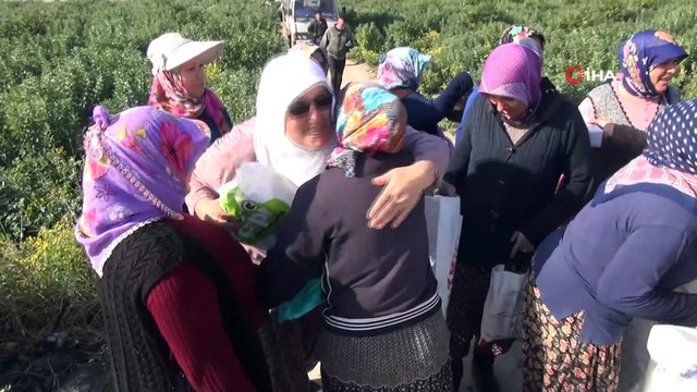 Kadınlar Günü’nü tarlada çalışarak kutladılar