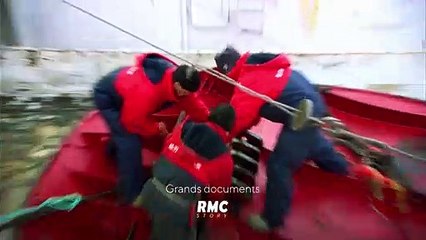 Titans des mers