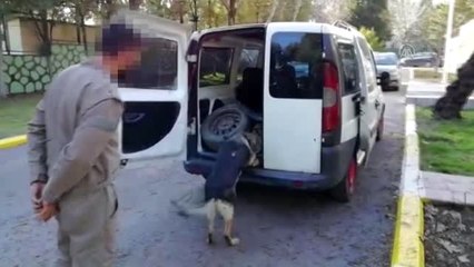 3 bin 210 paket gümrük kaçağı sigara ele geçirildi