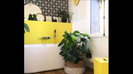 Las 7 Mejores PLANTAS para poner en el BAÑO