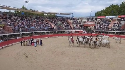 Vauvert : rencontre avec Régine Pascal qui chante la Camargue