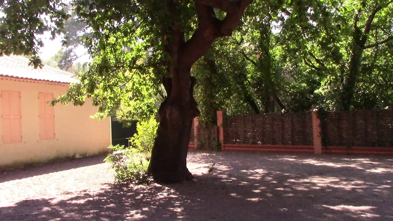 (Bonus 16) ~ L'un des plus beaux chênes de France