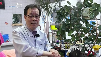 [UHD 다큐 풍경] 바다와 사람의 아름다운 어울림…서천