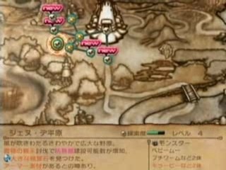 Final Fantasy CC Wii