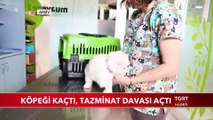 Köpeği Kaçtı, Tazminat Davası Açtı