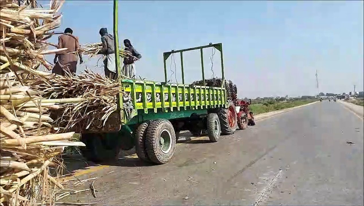Lorry accident with sugarcane load / truck accident with heavy load sugarcane