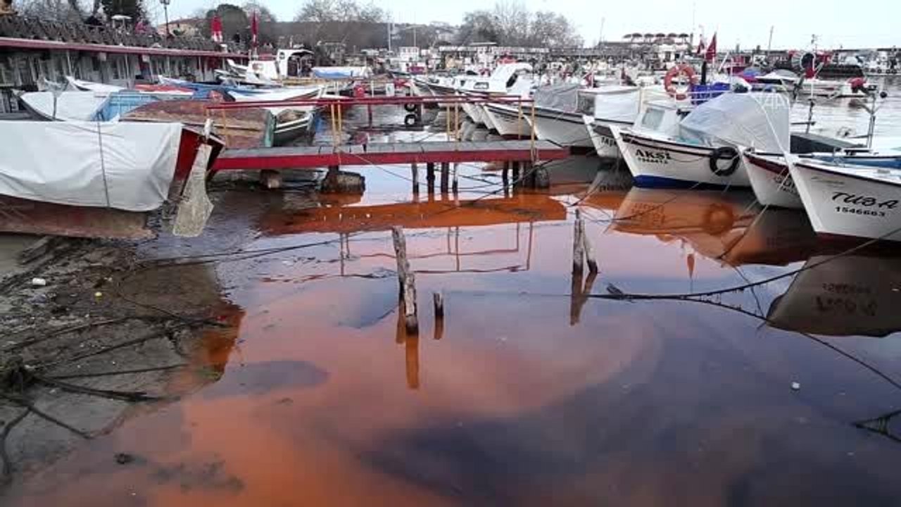 Tekirdağ sahilinde plankton çoğalması deniz suyunu turuncuya dönüştürdü