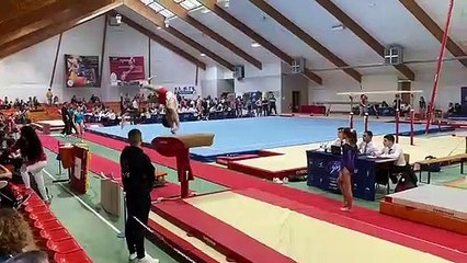 Gymnastique : championnat départemental à Sarreguemines