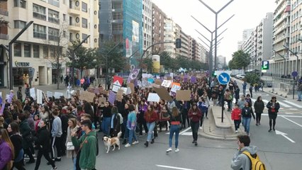 Manifestación en Logroño por el 8M