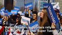 Bernie Sanders supporters rally ahead of Tuesday primaries