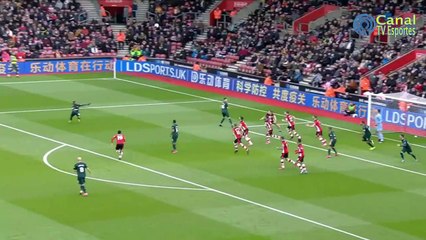 Melhores Momentos SouthAmpton x NewCastle na Premier League