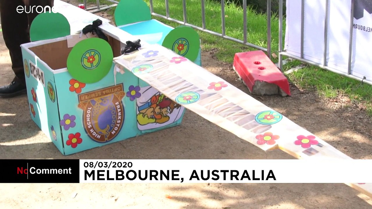 Wer ist der beste Vogelmann? Mit selbstgebauten Flugzeugen ins Wasser