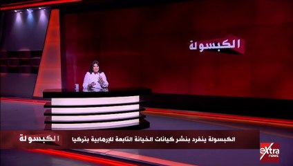 امانى الخياط: تنظيم الإخوان الإرهابي يعتبر  تركيا مركز الخلافة