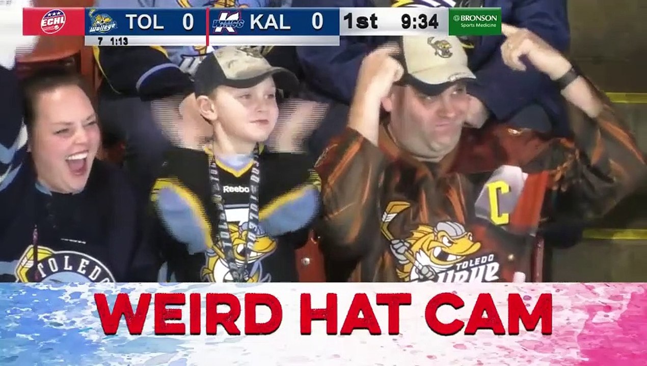 Game Recap - Toledo Walleye at Kalamazoo Wings