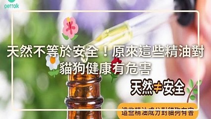 CollectionVideo-petmao_curation-petsmao.nownews|petmao_curation_mobile-copy2-PetsMaoParser-2020/03/09-09:30