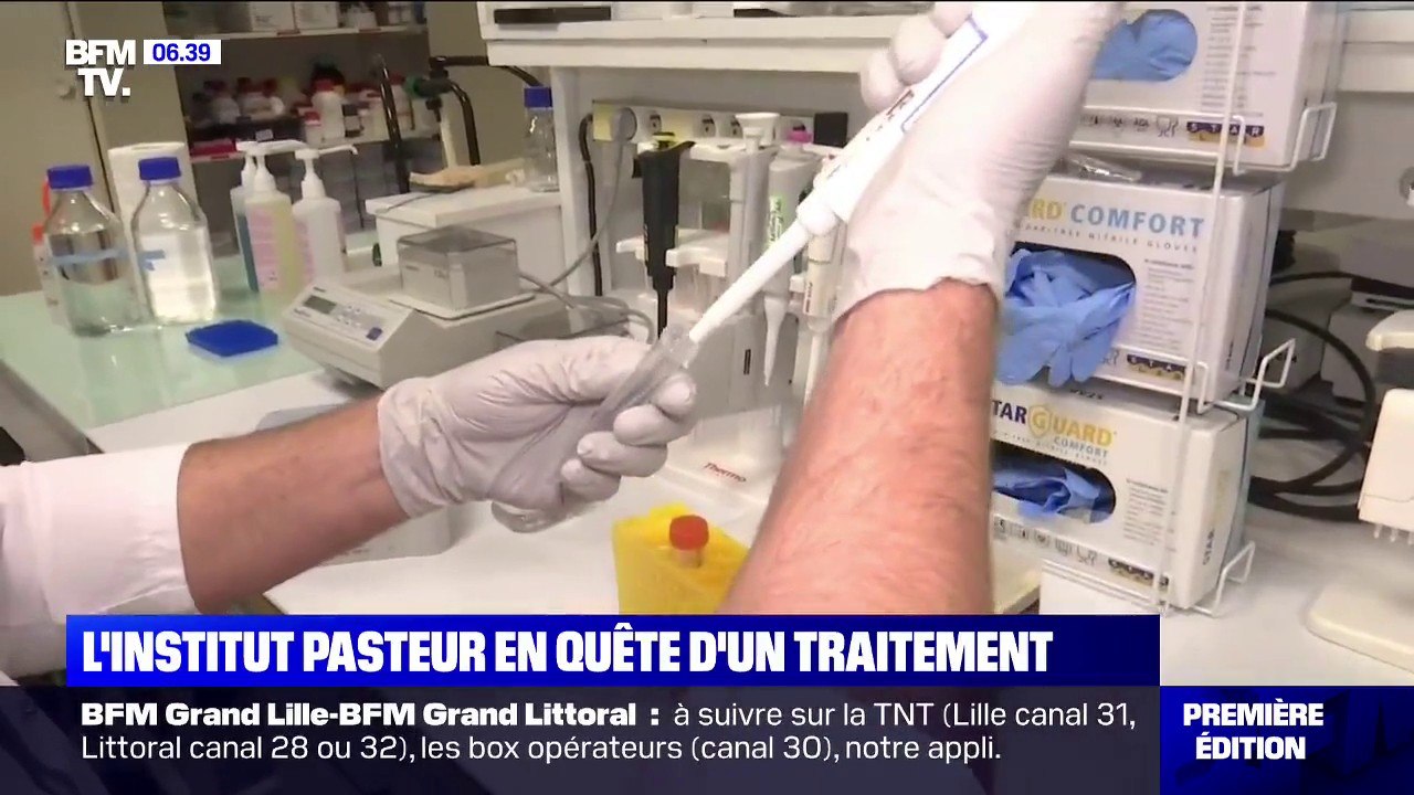 Les recherches de l'institut Pasteur pour un traitement efficace contre le coronavirus