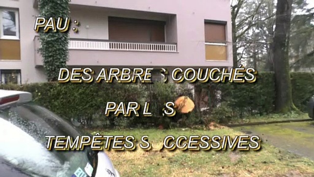 LES W-D.D. MICHOU NEWS - 6 MARS 2020 - PAU - LES ARBRES COUCHÉS PAR LES TEMPÊTES SUCCESSIVES
