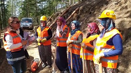 Kunduz Ormanları kadınlara emanet