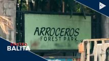 Arroceros Park, idineklara bilang permanent forest park