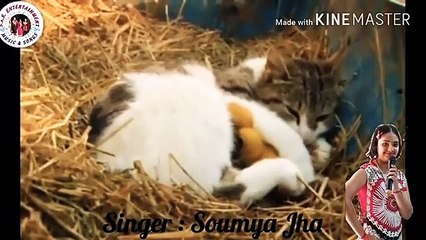 Maa Song Film Taare Zameen Par Cover version Soumya Jha Singer Shankar Mahadevan Aamir Khan