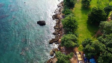 EARN $1840 IN 60 MINUTES!  BIG OPPORTUNITY! MAKE MONEY ONLINE in 2020!