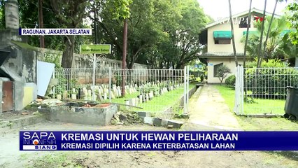 Lahan Terbatas, Kremasi untuk Hewan Peliharaan Bisa Jadi Pilihan