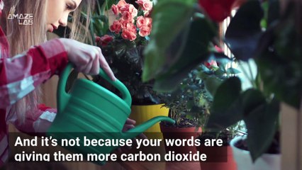 Do Plants Grow Faster if You Talk to Them?