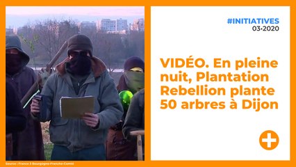 VIDÉO. En pleine nuit, Plantation Rebellion plante 50 arbres à Dijon