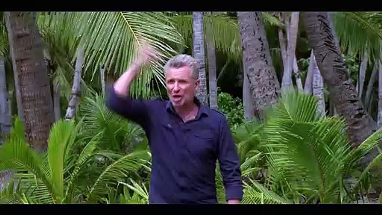 Dès ce soir, que des inédits en prime tout au long de la semaine sur TF1