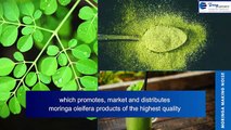 Terry Exports LLP - Moringa Exports Specialized Firm. Corporate Video