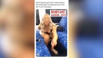 Une femme fait pipi dans le train pendant une soirée arrosée