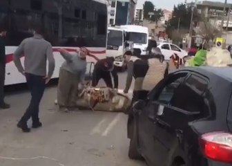 Yılmaz Güney’i hatırlatan acı görüntü